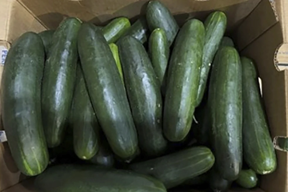 Salmonella Cases Rise Nationwide Amid Cucumber Recall