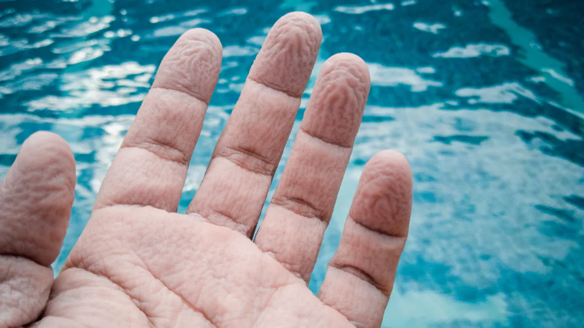 Scientists Uncover the True Cause Behind Water-Induced Finger Wrinkles