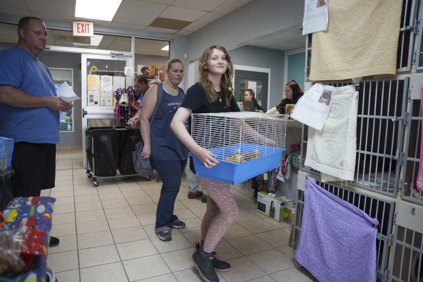 Thousands of Abandoned Chicks Find New Homes After Postal Service Mishap in Delaware