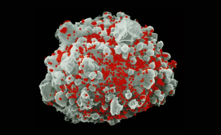 New Technique Sheds Light on Hidden HIV, Offering Hope for Future Treatments