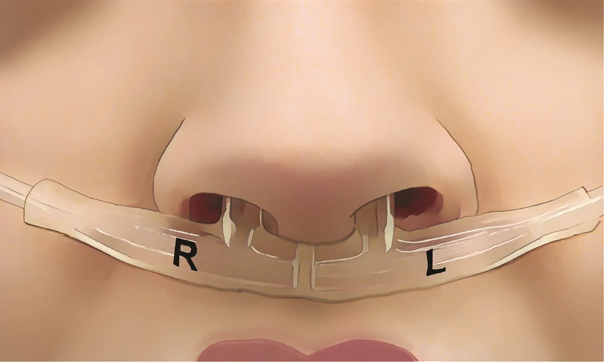 Study Finds Each Person Has a Distinctive ‘Breath Print’ Tied to Mental and Physical Health