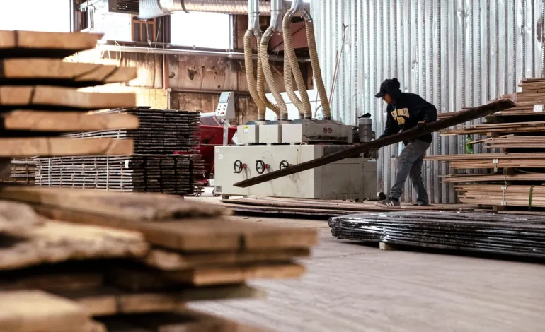 US Producer Prices Rose Modestly in May, Signaling Continued Easing in Inflation