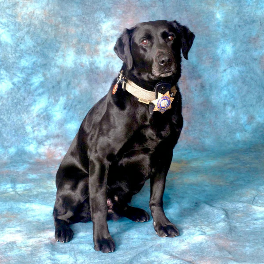 Explosives Detection K9 Duster Retires After Nine Years with Wyoming Highway Patrol