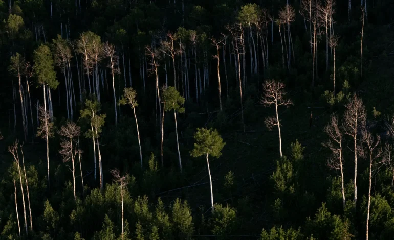 Senate Rules Block GOP Proposal to Sell Millions of Acres of Federal Land