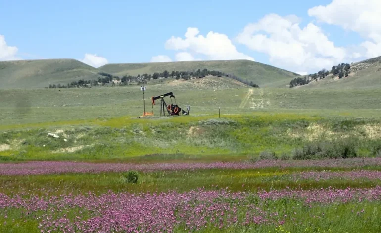 Proposed Senate Budget Provision Could Lead to Sale of Wyoming Public Lands