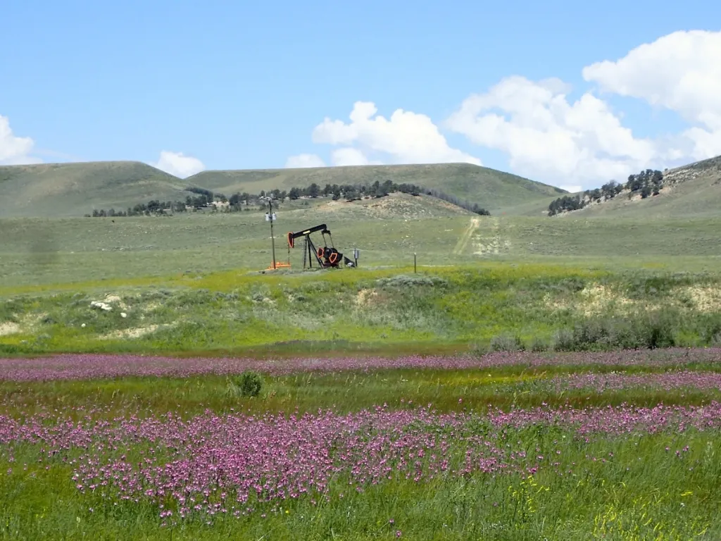 Proposed Senate Budget Provision Could Lead to Sale of Wyoming Public Lands