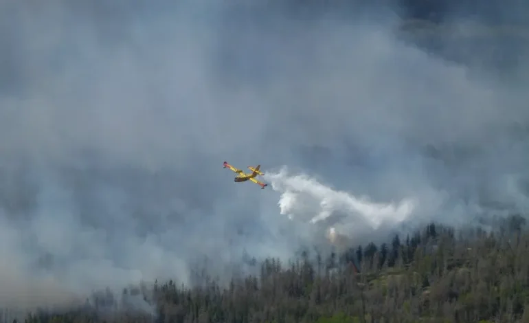 Canadian Wildfires Blanket One-Third of U.S. in Smoke, Triggering Air Quality Warnings in Northeast