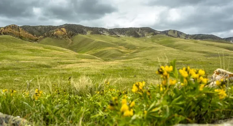 Casper Ranch Family Honored in Wyoming Game and Fish’s 2024 Landowner Awards