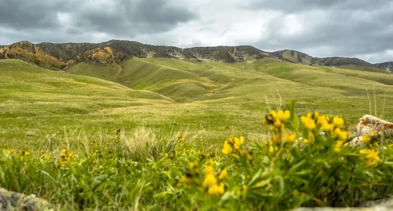 Casper Ranch Family Honored in Wyoming Game and Fish’s 2024 Landowner Awards