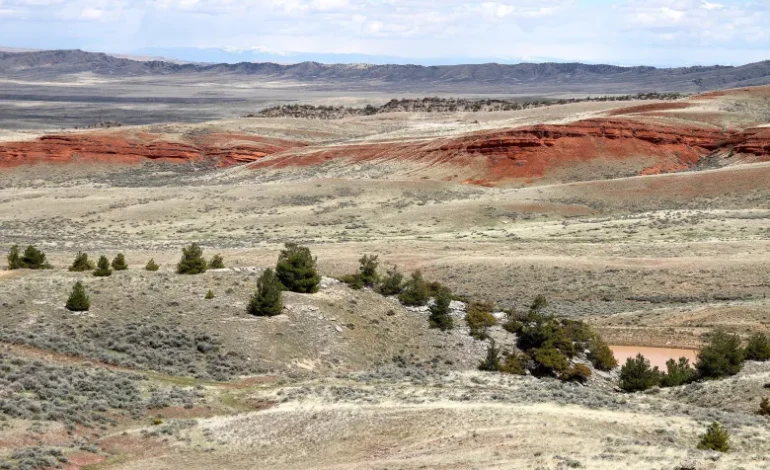 Wildlife Concerns Overlooked in State’s Approval of Cody-Area Shooting Complex Site