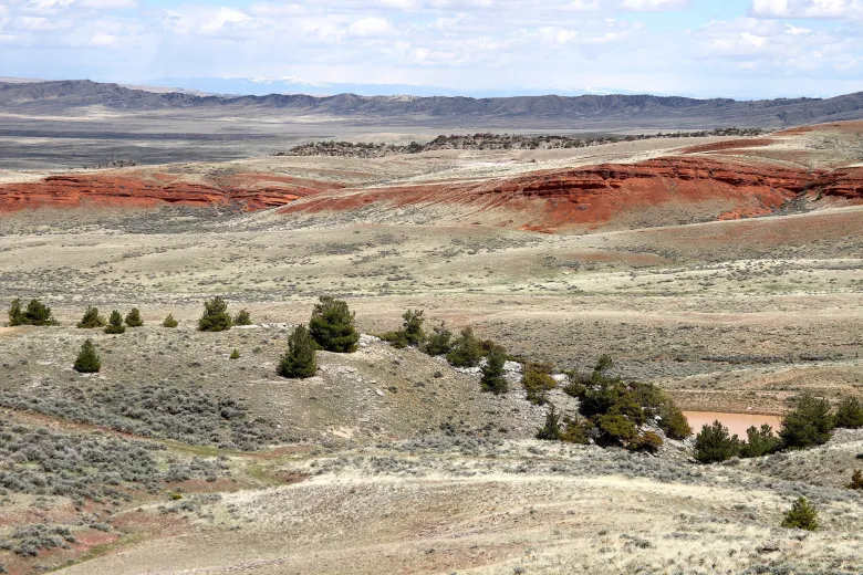 Wildlife Concerns Overlooked in State’s Approval of Cody-Area Shooting Complex Site