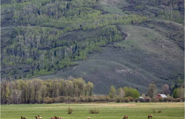 Teton County Secures Long-Term Lease for Munger Mountain State Land