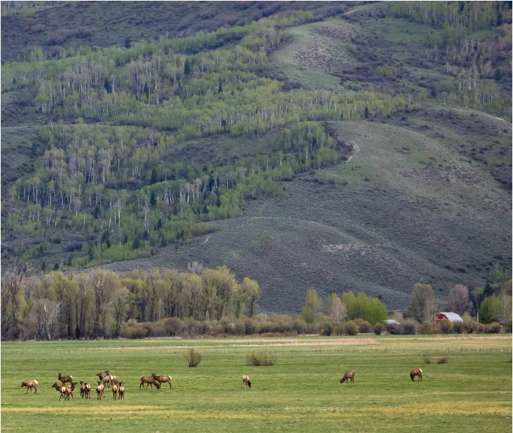 Teton County Secures Long-Term Lease for Munger Mountain State Land