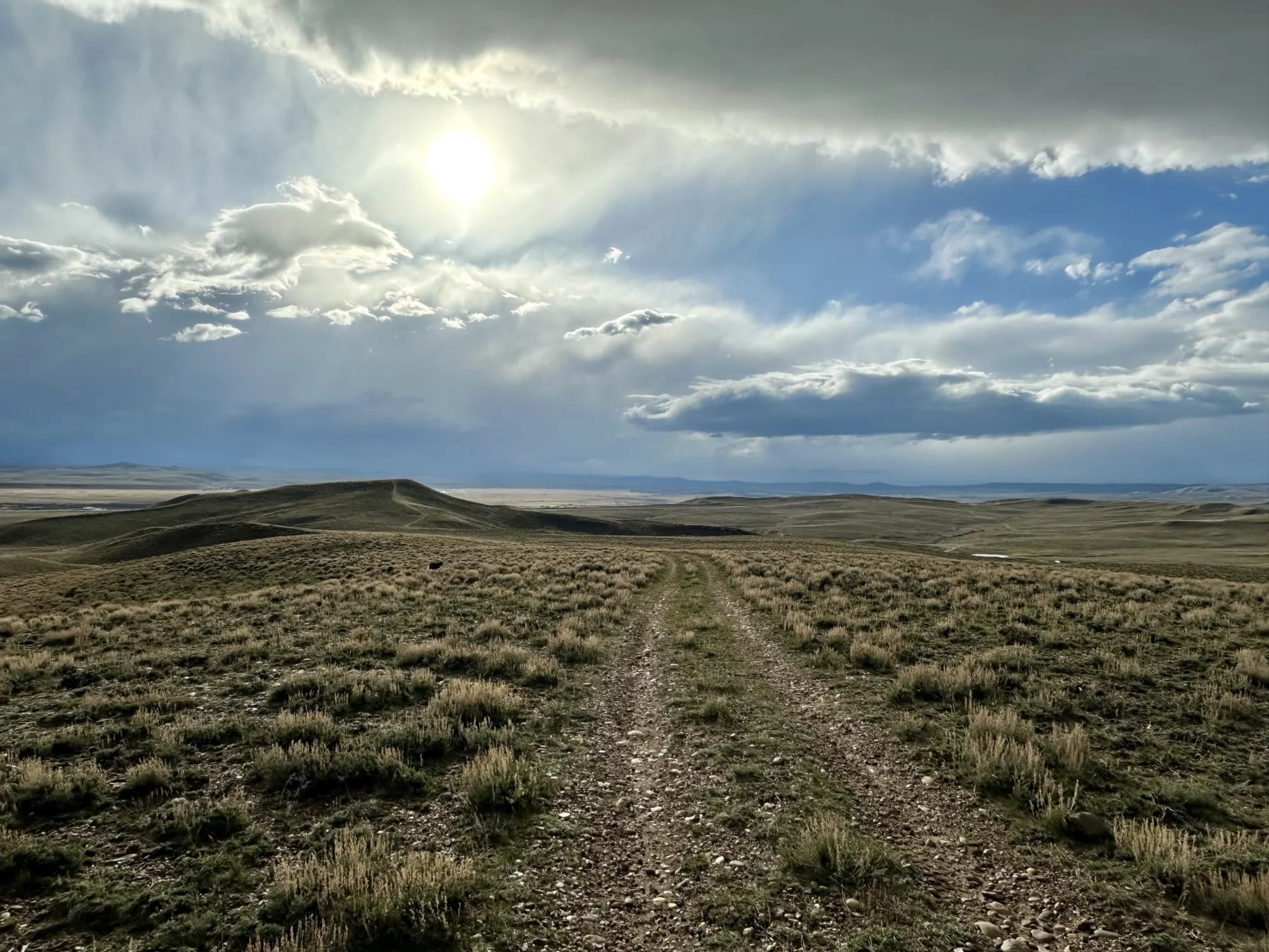 Wyoming Voices Strong Opposition as Federal Public Land Sale Proposal Advances