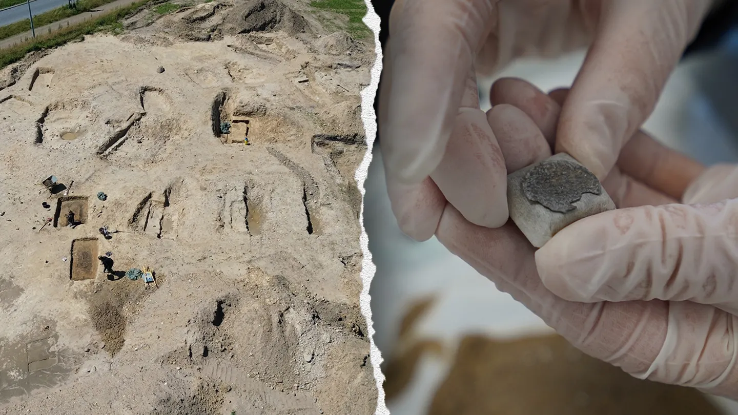 Viking‑Era Burial Site Reveals Elite Family’s Treasures, Unusual Casket