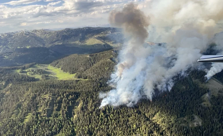 Horse Fire Marks Start of Wyoming’s 2025 Wildfire Season in Sublette County
