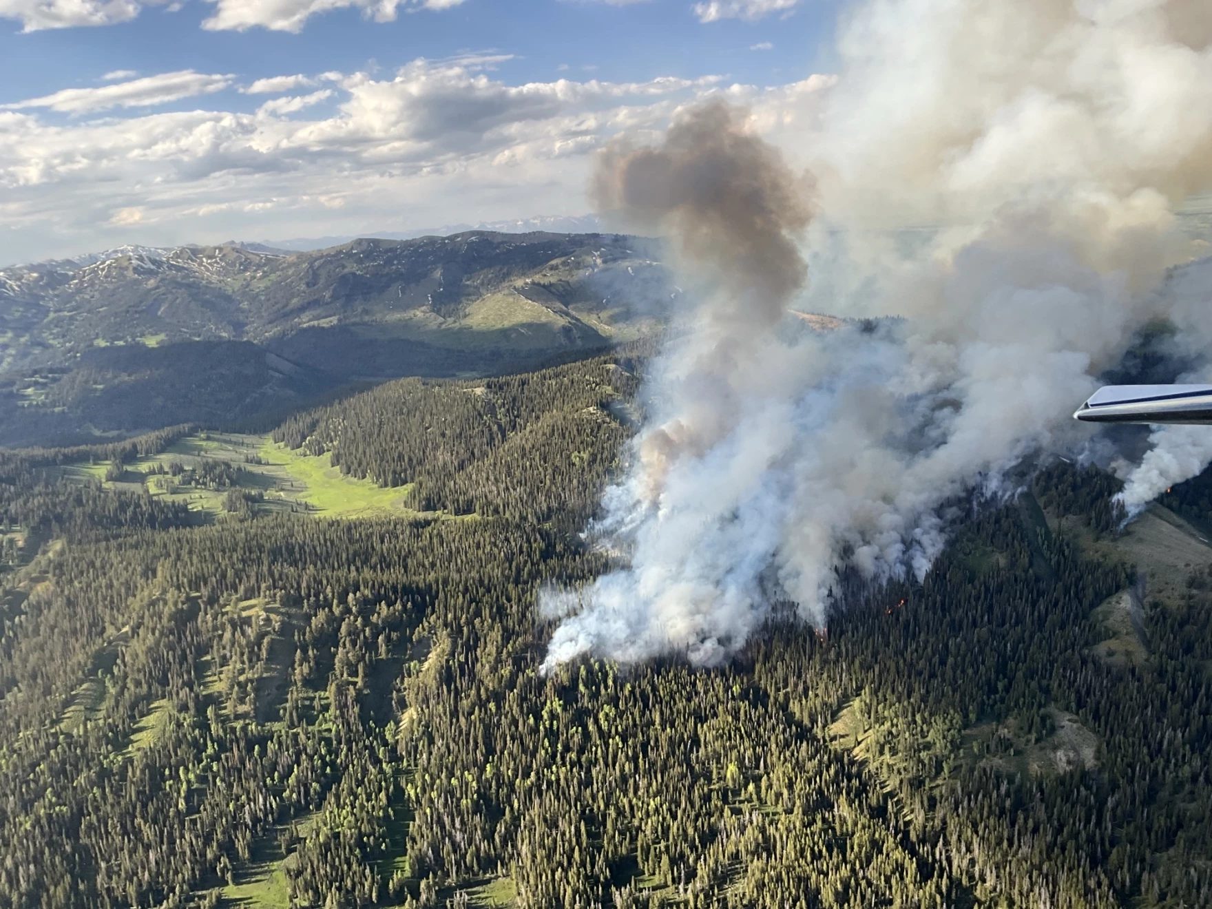 Horse Fire Marks Start of Wyoming’s 2025 Wildfire Season in Sublette County