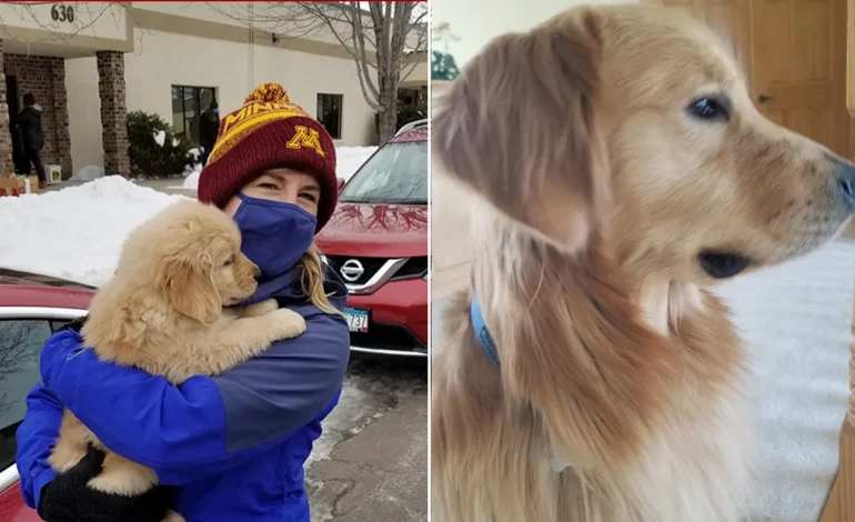 Minnesota Mourns Loss of Lawmaker Melissa Hortman, Husband, Family Dog Gilbert