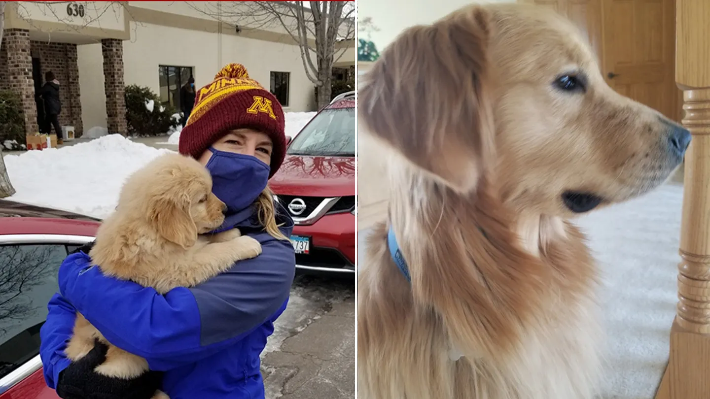 Minnesota Mourns Loss of Lawmaker Melissa Hortman, Husband, Family Dog Gilbert