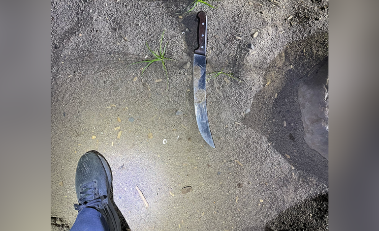 Multiple Arrests After Violent Mob Targets Portland ICE Facility With Fireworks, Knives