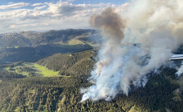Horse Fire Grows to Nearly 1,000 Acres in Bridger-Teton National Forest