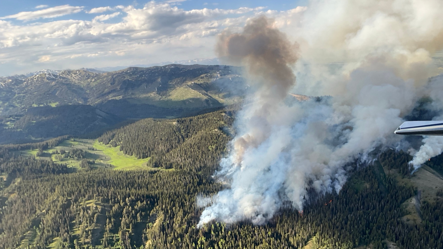 Horse Fire Grows to Nearly 1,000 Acres in Bridger-Teton National Forest