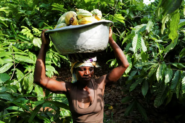 Heatwaves, Floods, Droughts: How Climate Chaos Is Spiking Global Grocery Bills