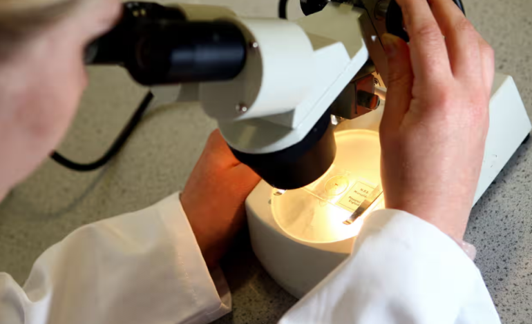 Study Suggests Cervical Cancer Screening Should Continue Beyond Age 65 Due to Ongoing HPV Risk