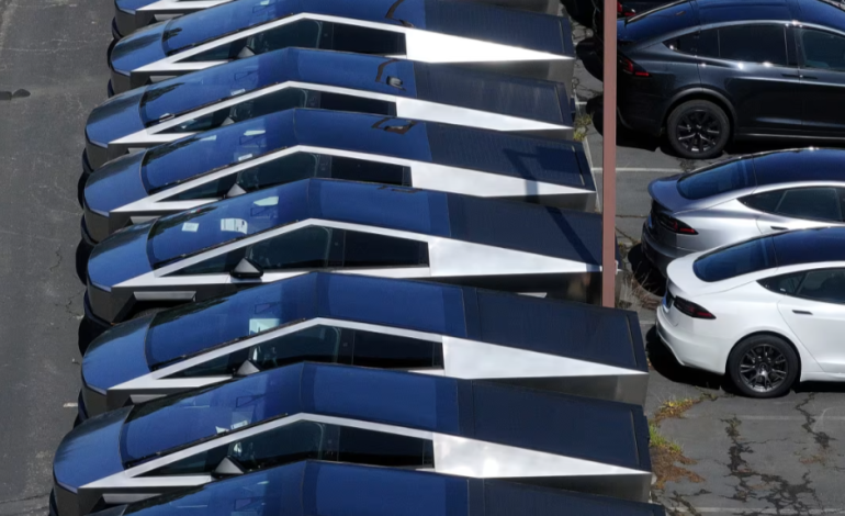Tesla Faces Mounting Challenges Amid Political Distractions and Financial Pressures