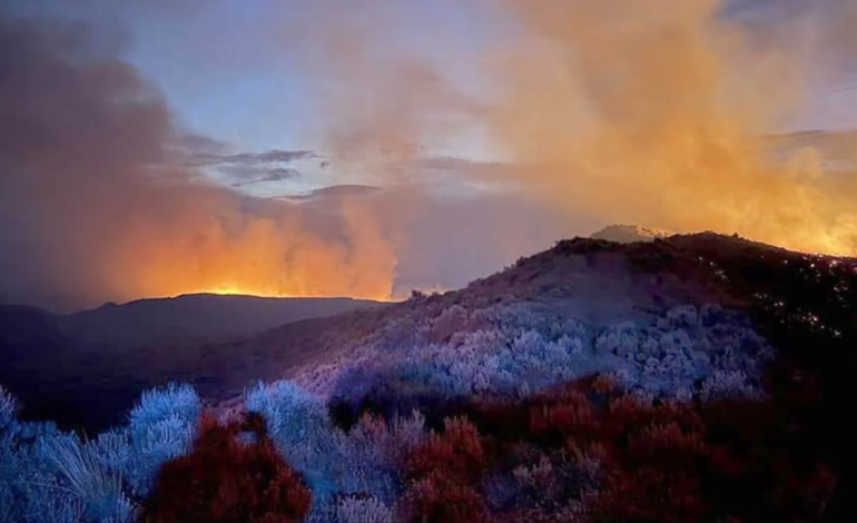 EXCLUSIVE: Wyoming’s 2025 Wildfire Season. Environmental Conditions, Impacts, and Management Challenges.
