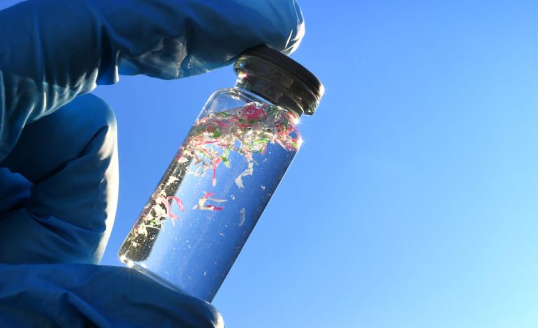What Are Microplastics Doing to Our Bodies? Scientists Are Racing to Find Out