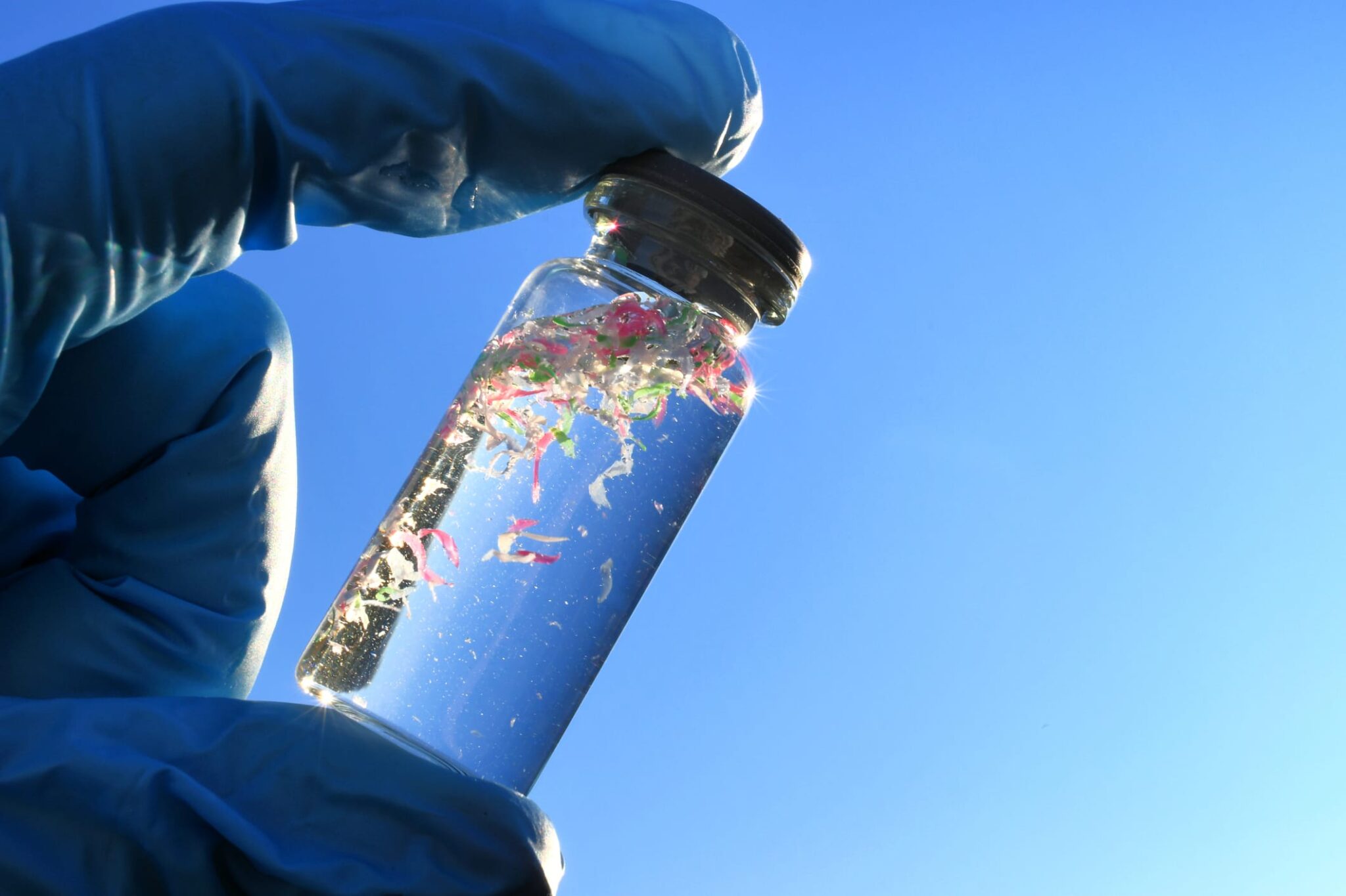 What Are Microplastics Doing to Our Bodies? Scientists Are Racing to Find Out