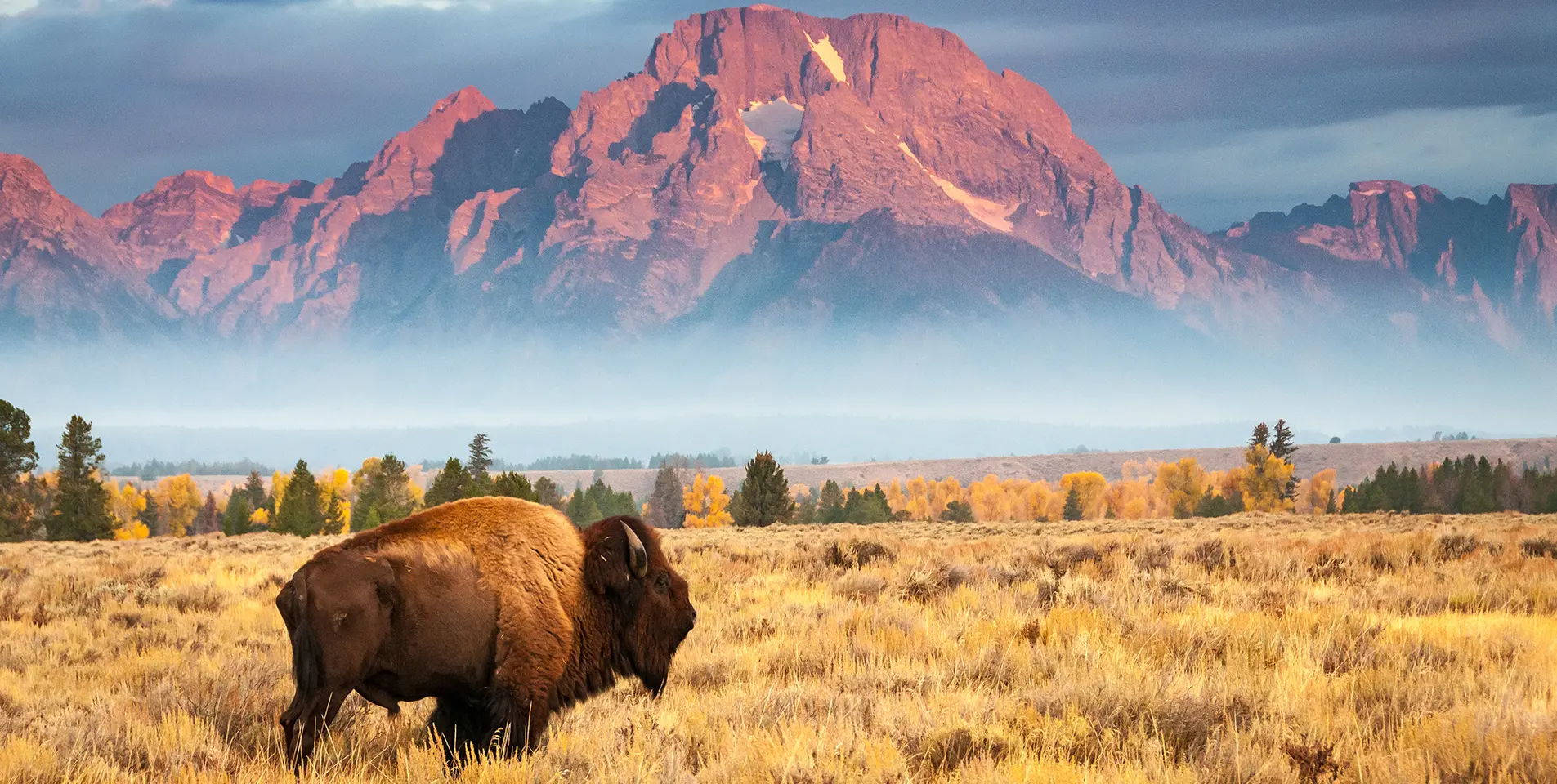 Wyoming Outdoors Community Reacts to Trump’s ‘Make America Beautiful Again’ Initiative