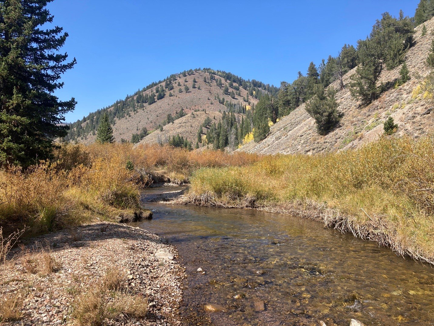 Growing Recognition of Climate Impacts and Water Challenges Among Wyoming Residents, UW Survey Shows