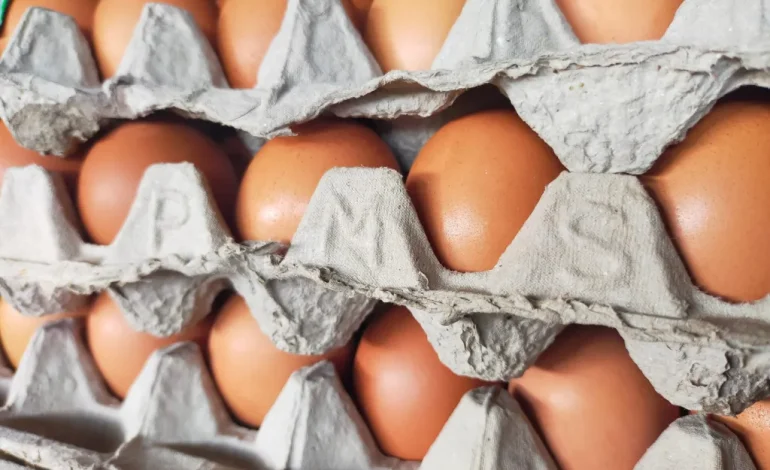 Salmonella Outbreak Linked to Eggs Distributed in Wyoming, No Illnesses Reported So Far