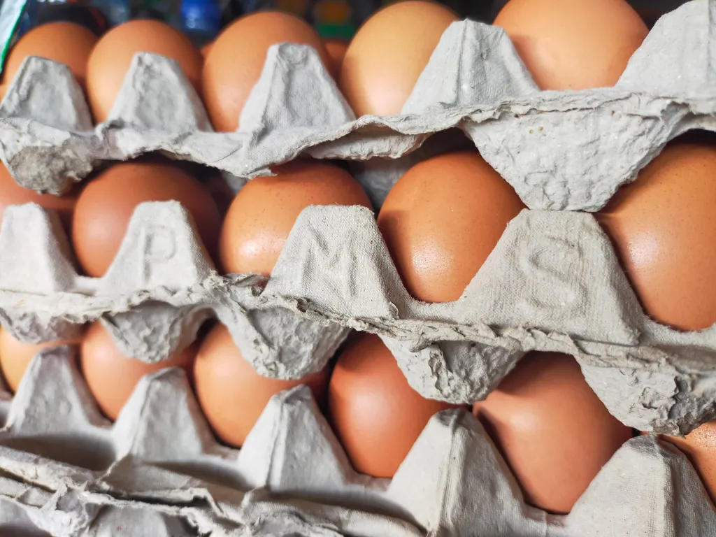Salmonella Outbreak Linked to Eggs Distributed in Wyoming, No Illnesses Reported So Far