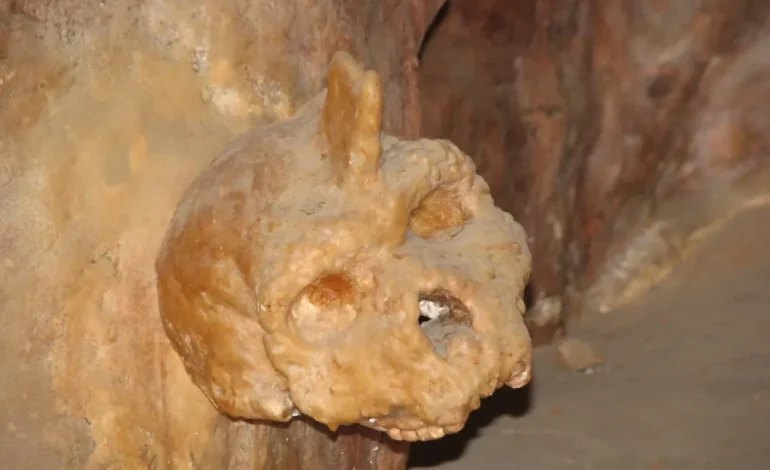 The ‘Unicorn Skull’ of Greece May Belong to a Lost Human Ancestor