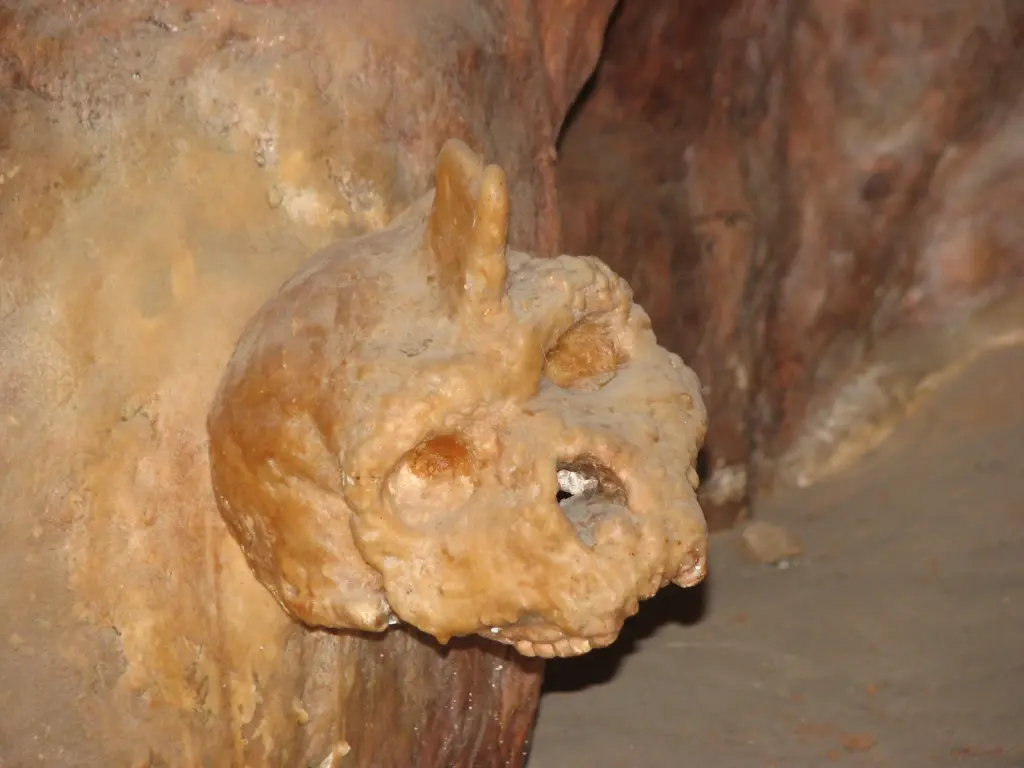 The ‘Unicorn Skull’ of Greece May Belong to a Lost Human Ancestor