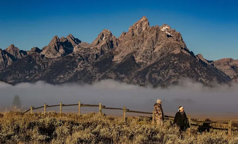 Why Wyoming Just Became the Hottest Spot for LLCs