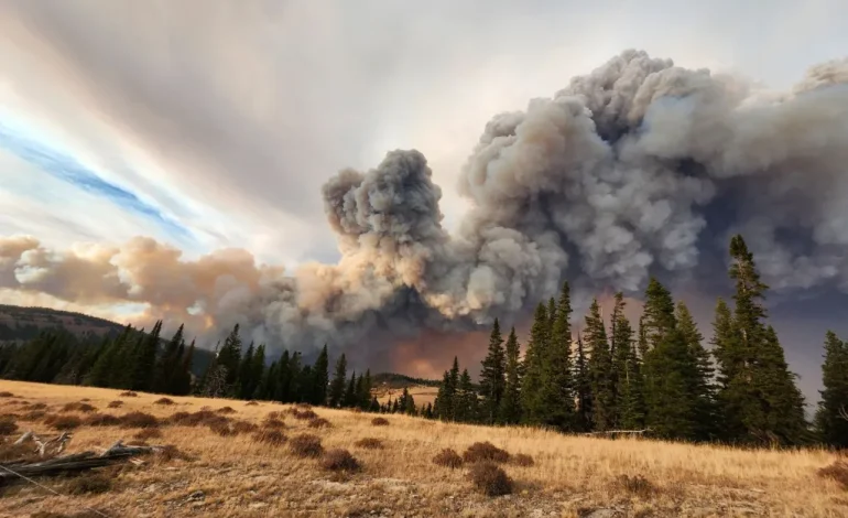Wyoming Historical Society Wants Your Wildfire Stories