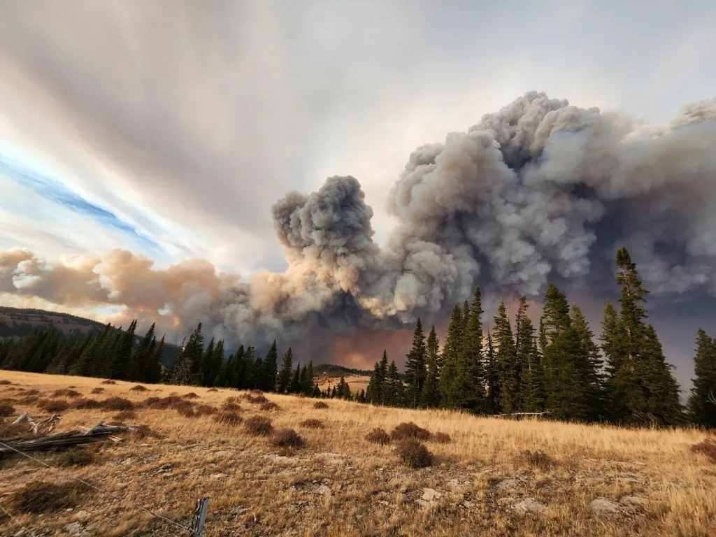 Wyoming Historical Society Wants Your Wildfire Stories