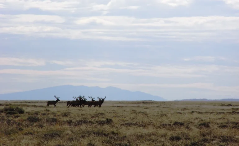 Two Wyoming Oilfield Bosses Sentenced for Illegal Dumping on Public Land
