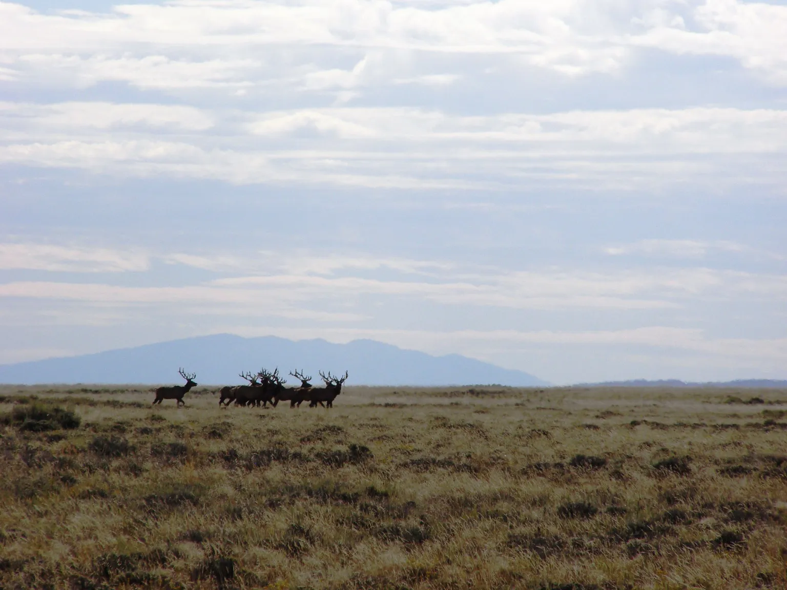 Two Wyoming Oilfield Bosses Sentenced for Illegal Dumping on Public Land