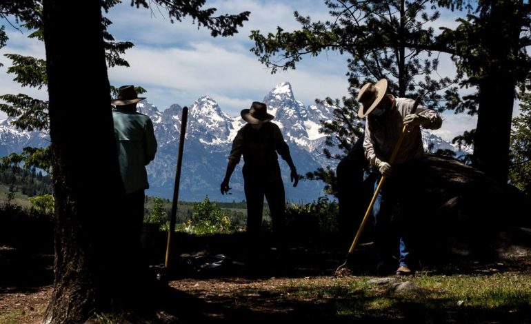 Governor Gordon Signs Order to Tackle Wildfire Risks and Boost Forest Health Across Wyoming