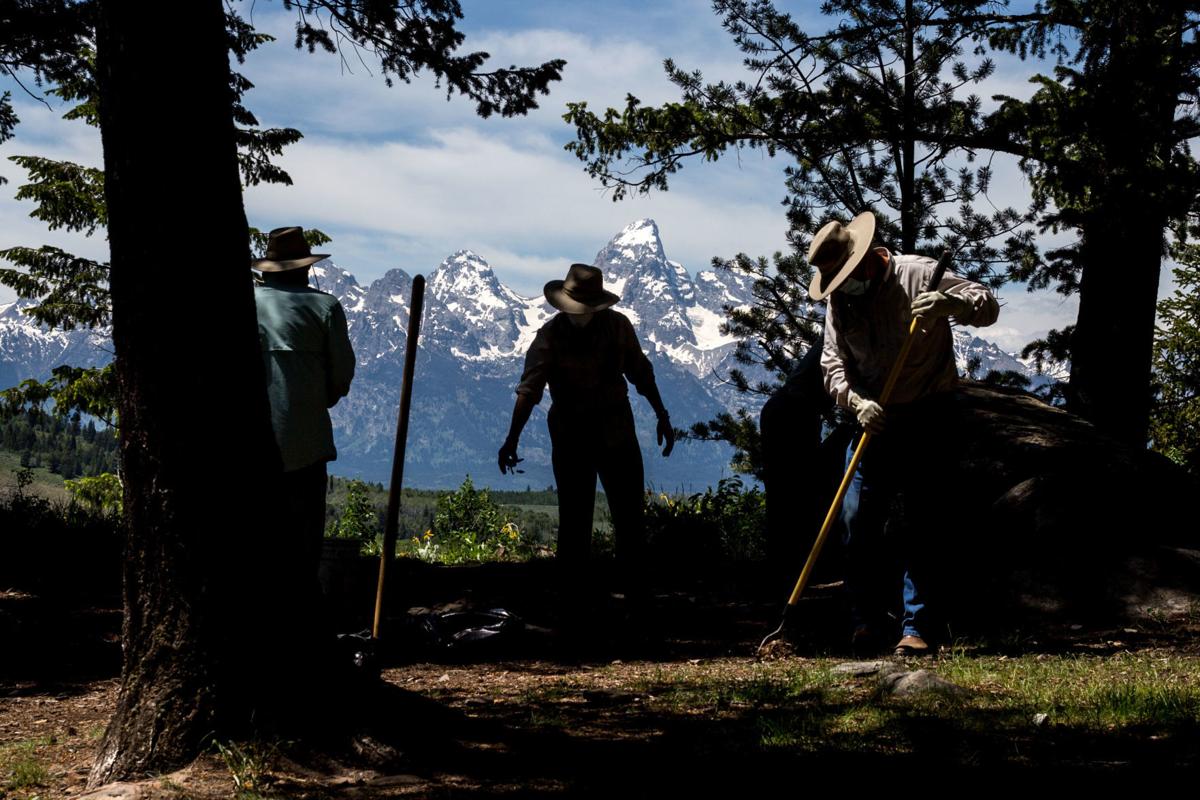 Governor Gordon Signs Order to Tackle Wildfire Risks and Boost Forest Health Across Wyoming