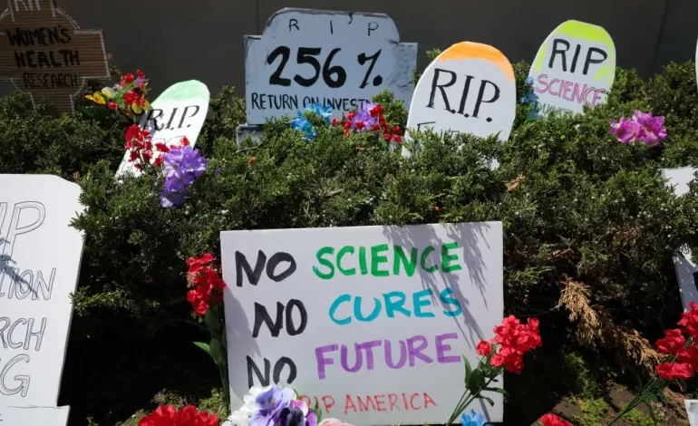 US Supreme Court Backs Trump’s Cuts to Health Research Funding