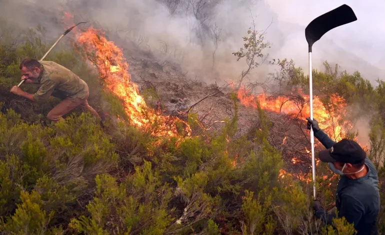 Spain Endures Record Heatwave as Fires Devastate Countryside