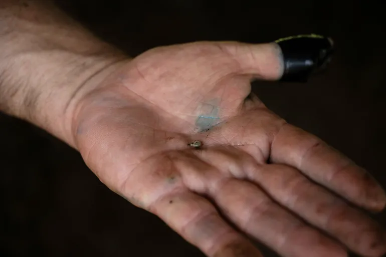 Flesh-eating screwworm cases surge 53% in Mexico, inching towards US border