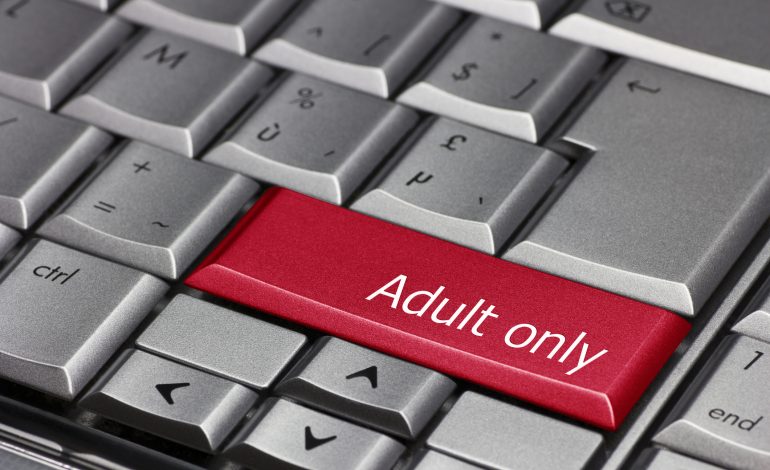 Wyoming and South Dakota’s New Age-Check Laws Could Rope in Half the Internet