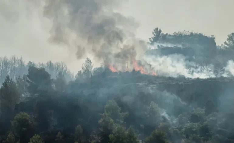Southern Europe Battles Wildfires, Record Heat as Crisis Escalates